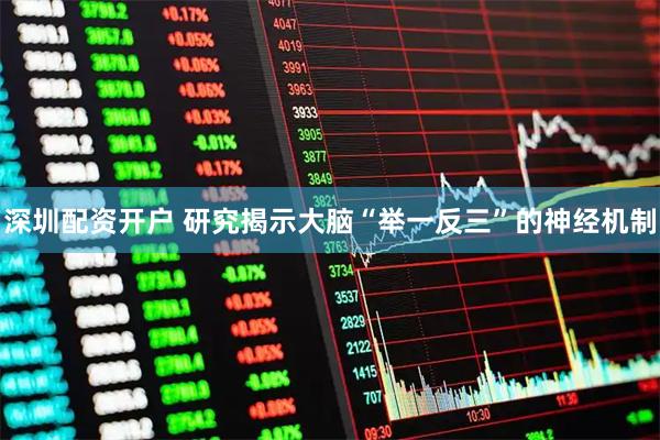 深圳配资开户 研究揭示大脑“举一反三”的神经机制